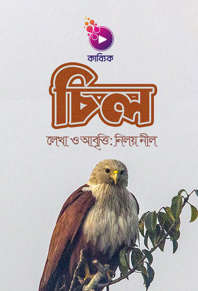 চিল