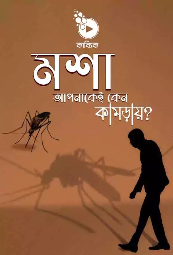 মশা ম্যাগনেট রহস্য